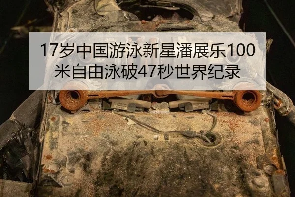sui-zhong-guo-you-yong-xin-xing-pan-zhan-le-mi-zi-you-yong-po-miao-shi-jie-ji-lu-3-827.jpg